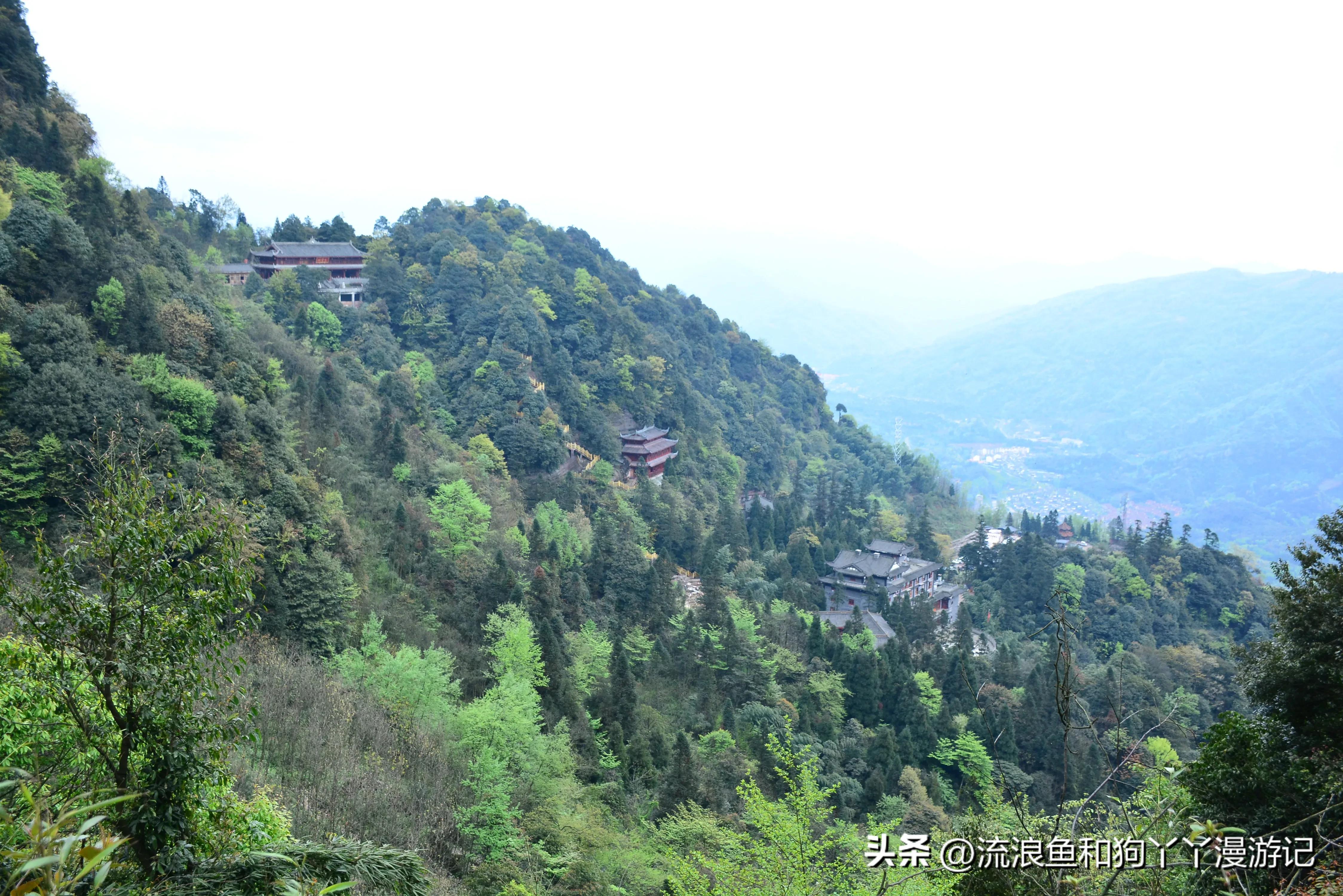 四月份成都近郊一日游好去处,2022成都近郊看雪一日游最佳去处