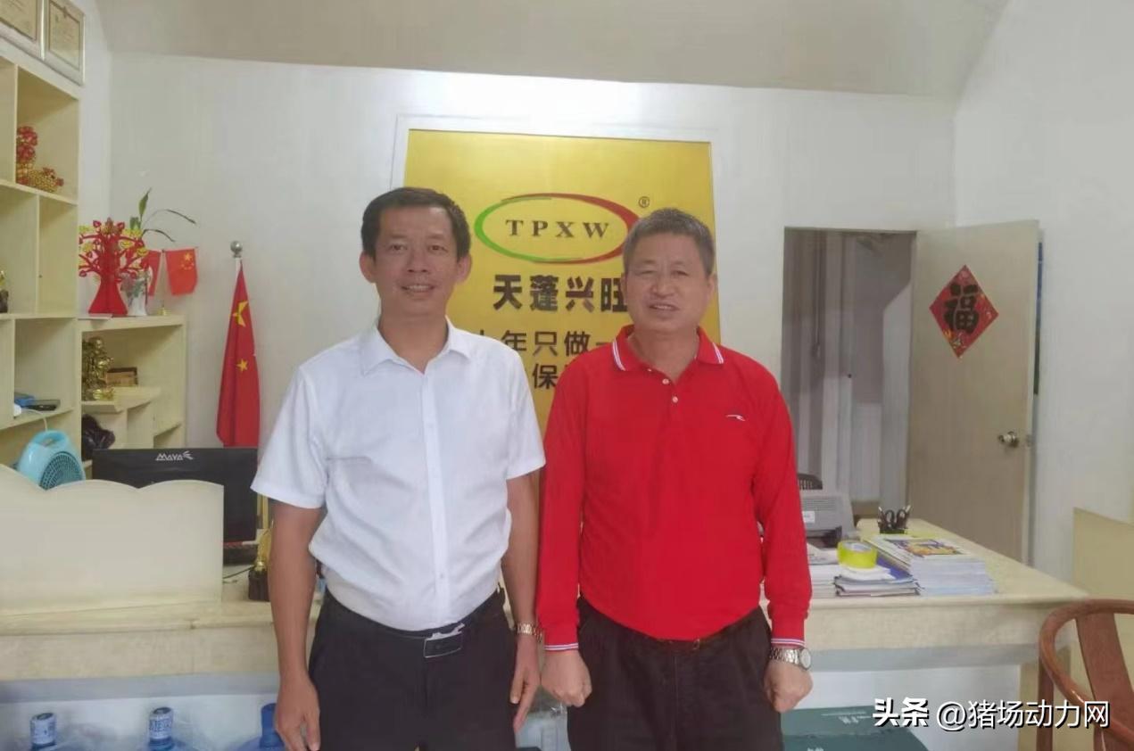 海南现代化黑猪养殖,海南黑猪饲养成本