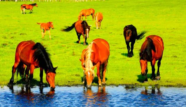 穆里尼奥谈德布劳内萨拉赫,穆里尼奥德布劳内萨拉赫