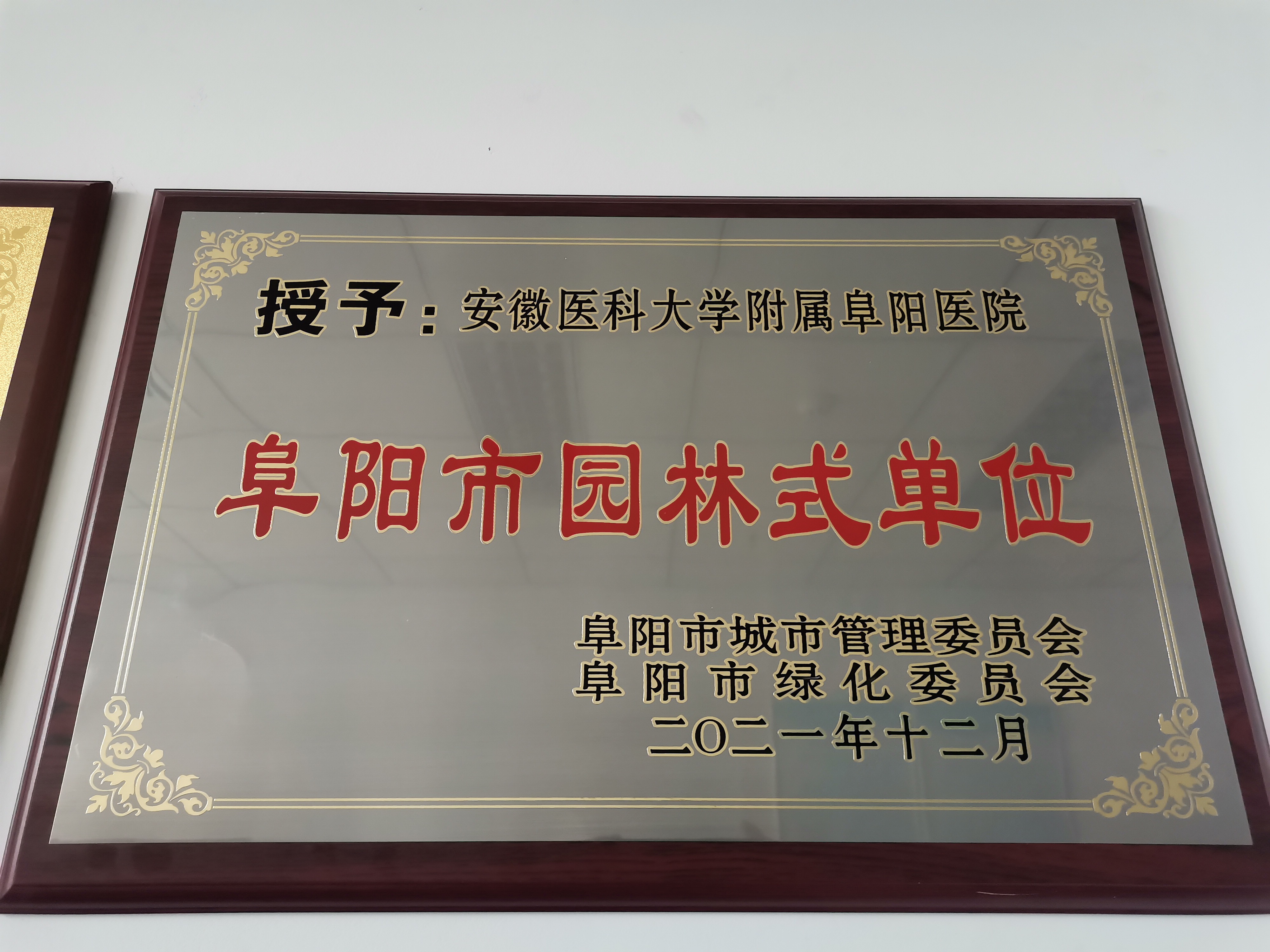 阜阳市人民医院和安医大阜阳医院,安徽省阜阳市安医大附属阜阳医院