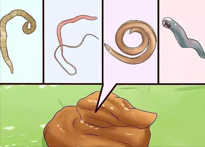 为什么人比动物脆弱,为什么人不能吃生的东西