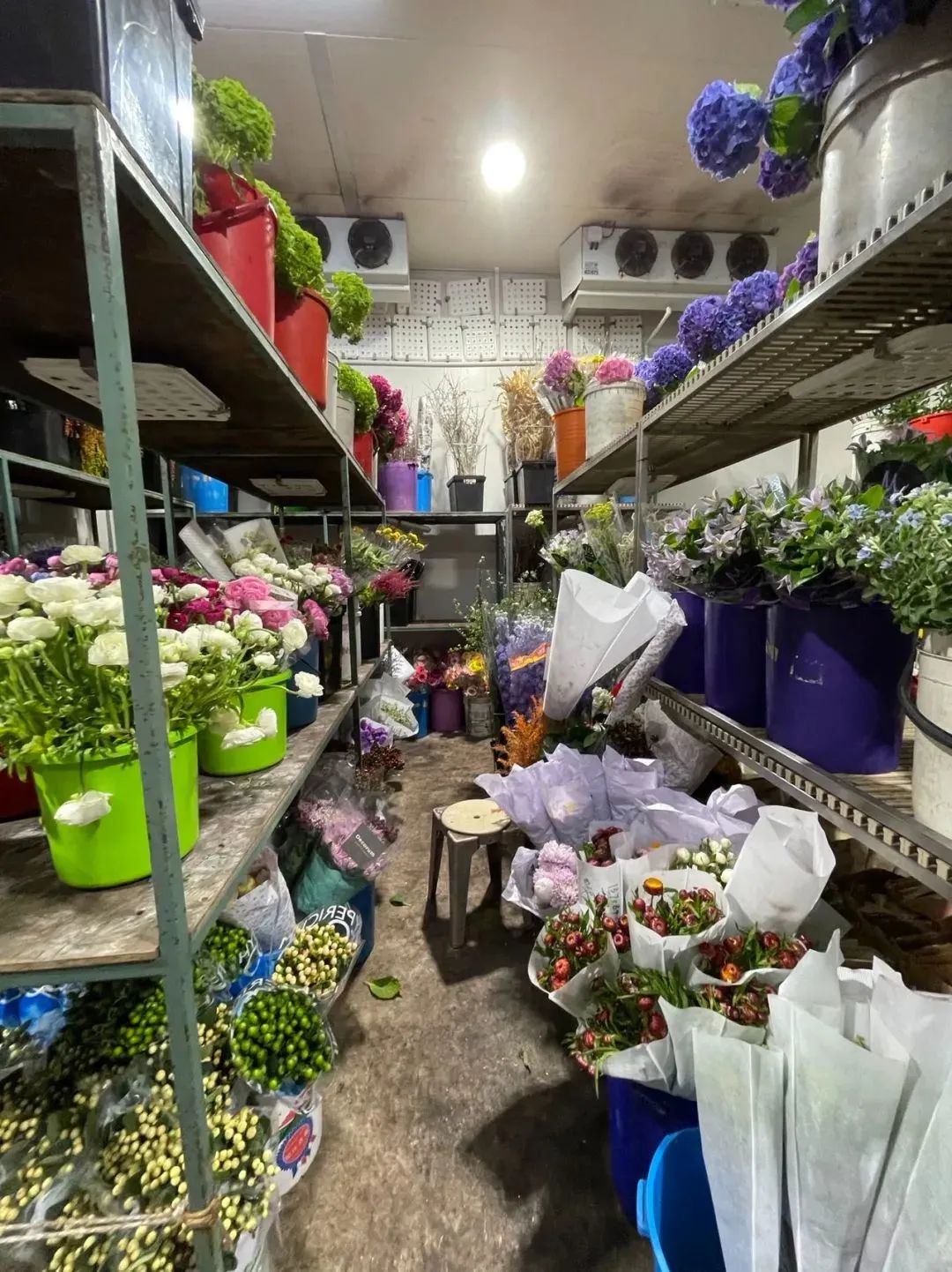 鲜花在水里能养几天会死,新加坡盆栽花卉怎么养