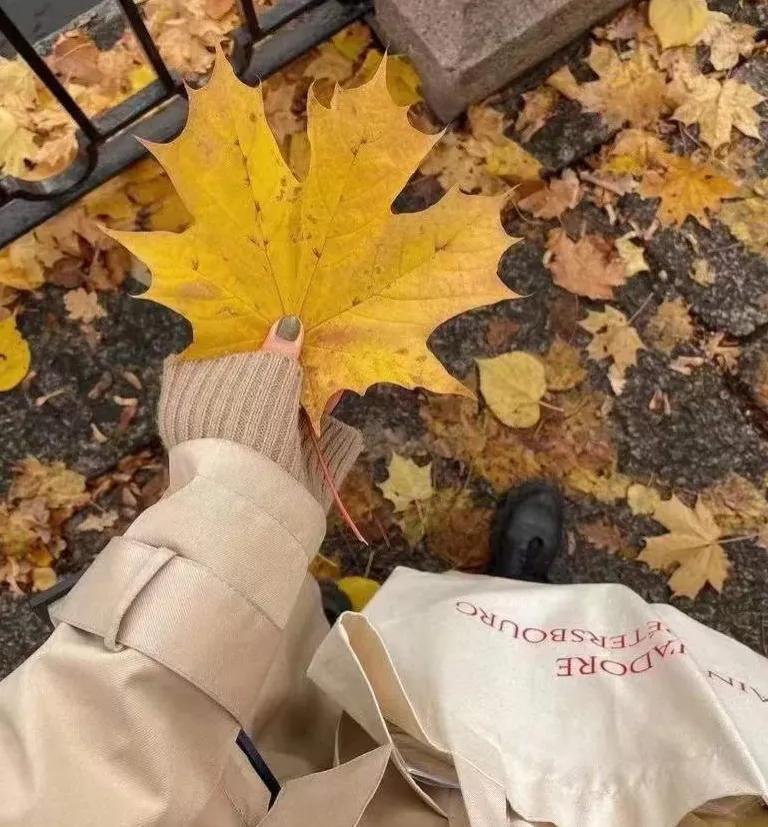 简单点就好所谓的避风港就是自己,简单点就好繁体字