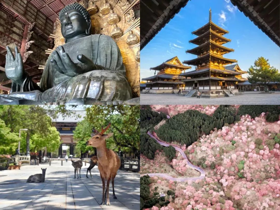 日本地图酒田市,日本酒图鉴