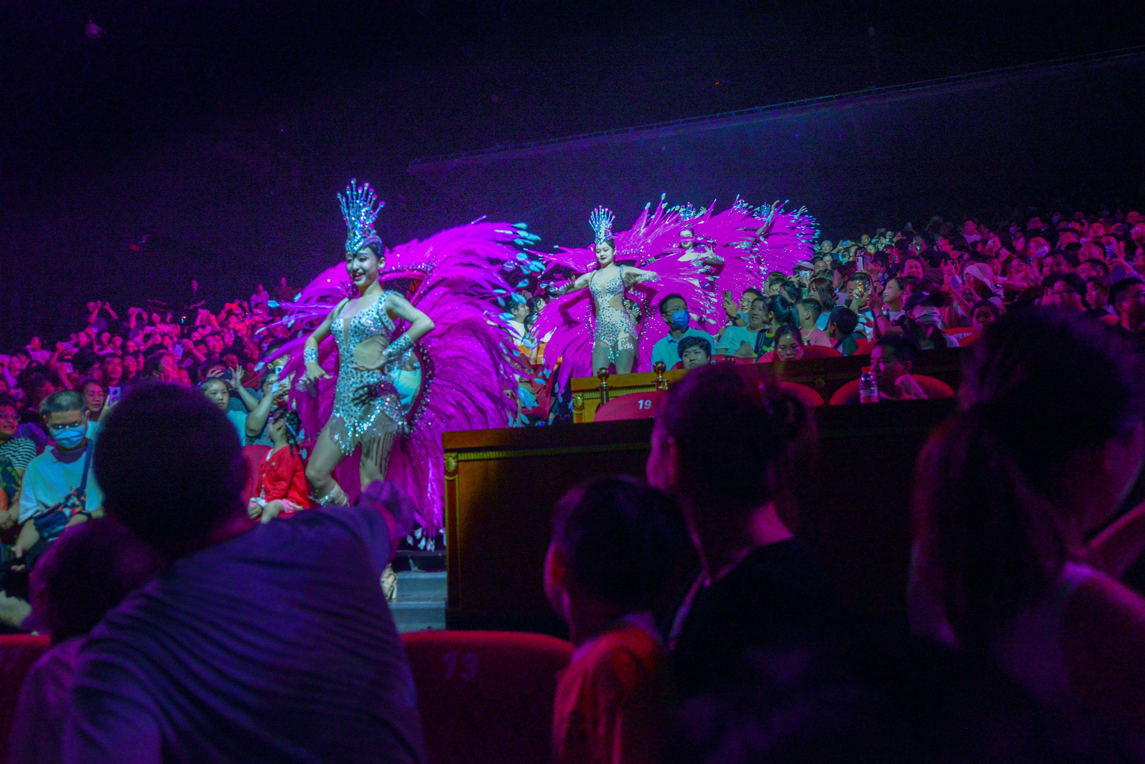 上海千古情一日游为美好而来,上海千古情之旅