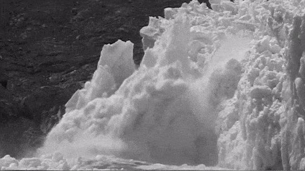 你不知道的英国女王：一位硬核环保主义者