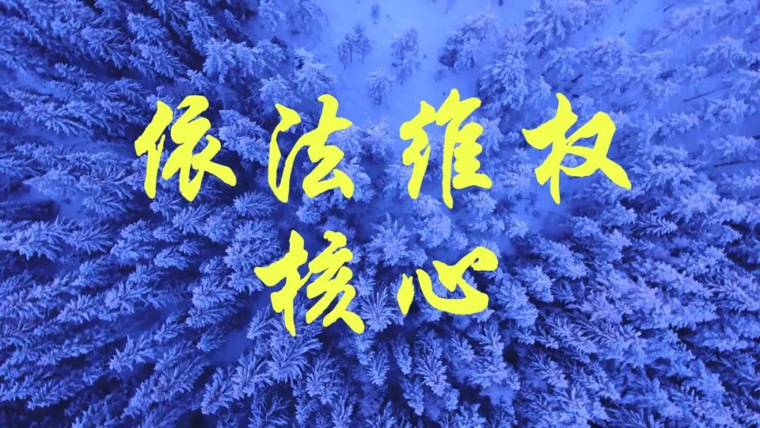 四种维权方式及具体操作,维权小知识科普