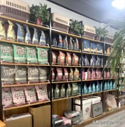 如何解决铲屎官们选粮的烦恼,教新手铲屎官用30分钟选出毒狗粮