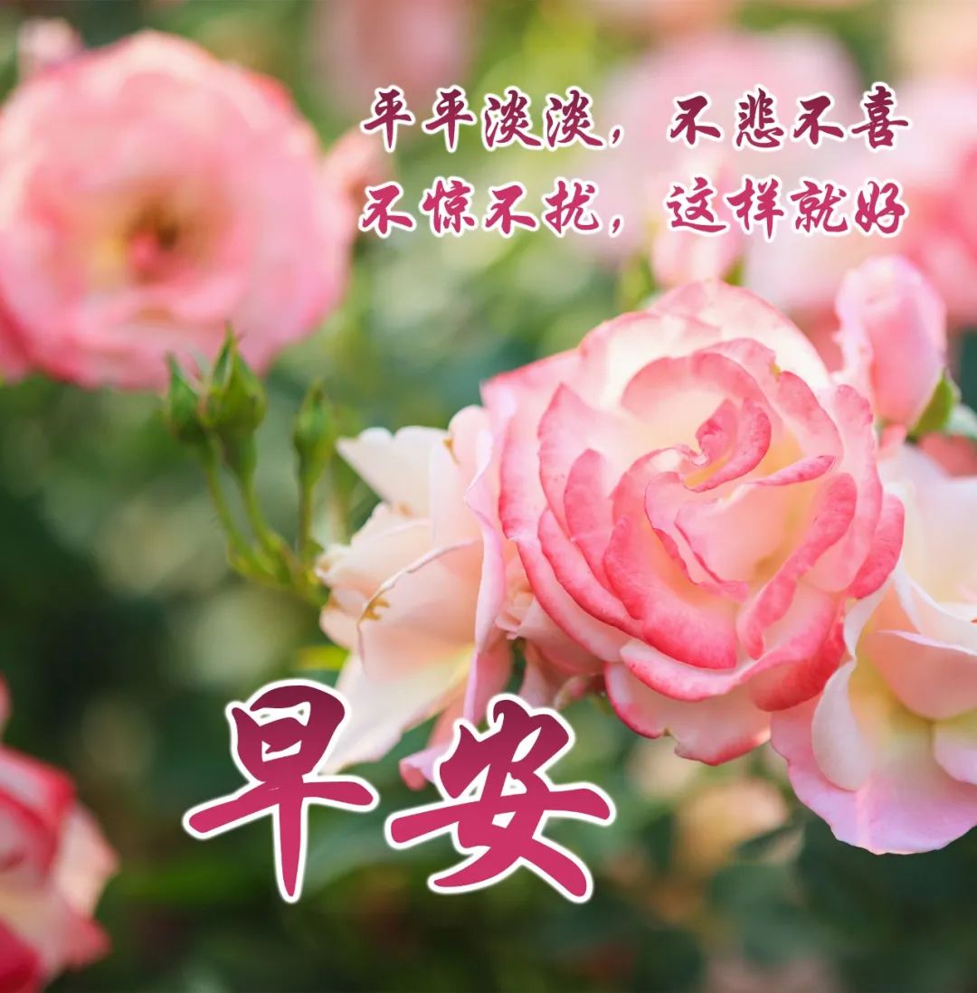 大家早上好带文字问候动态图片,最新早安问候健康平安动态图片