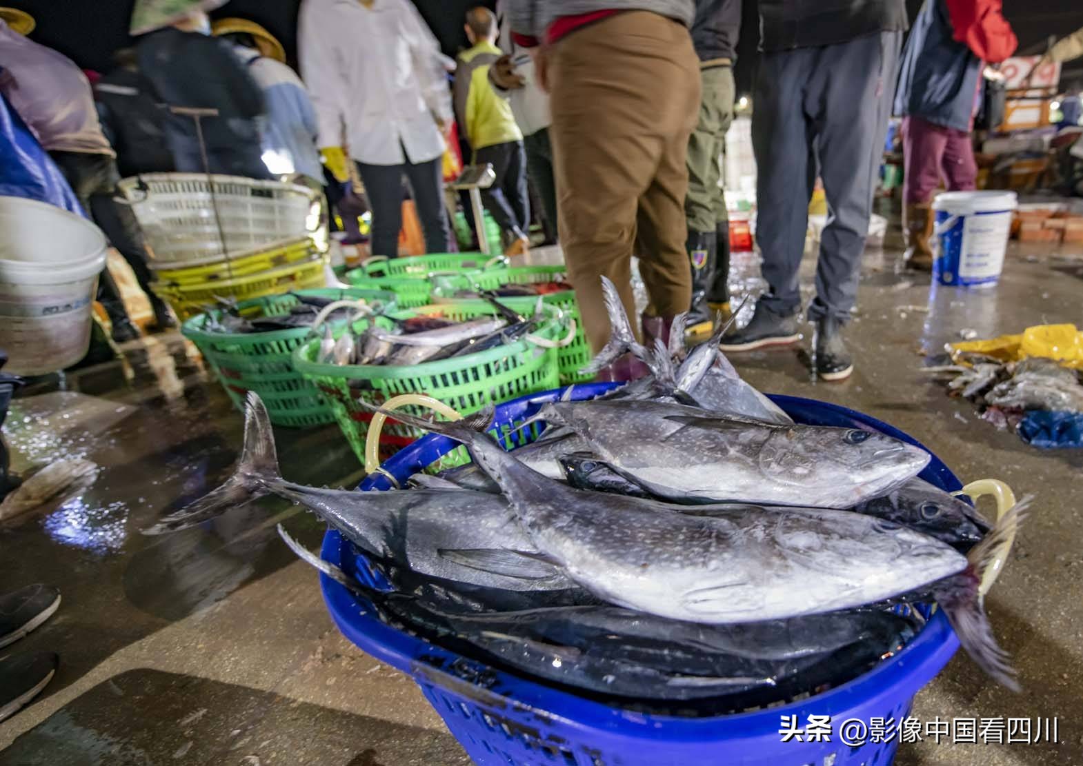 海南陵水新村疍家渔港,海南陵水水产市场