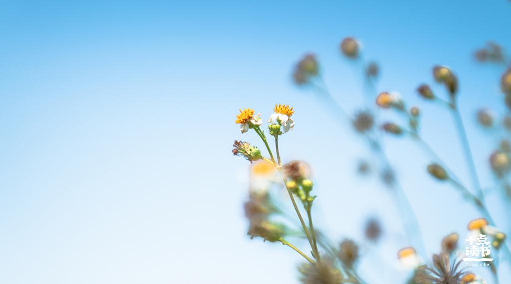 什么是小聪明,聪明和小聪明有什么区别