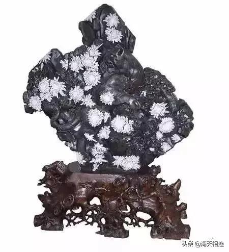 难得一见的仙鹤假奇石,这些难得一见的奇石美醉了