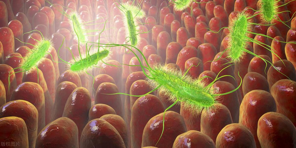 这三种臭屁可能是疾病的前兆,警惕出现这几种屁可能是疾病信号