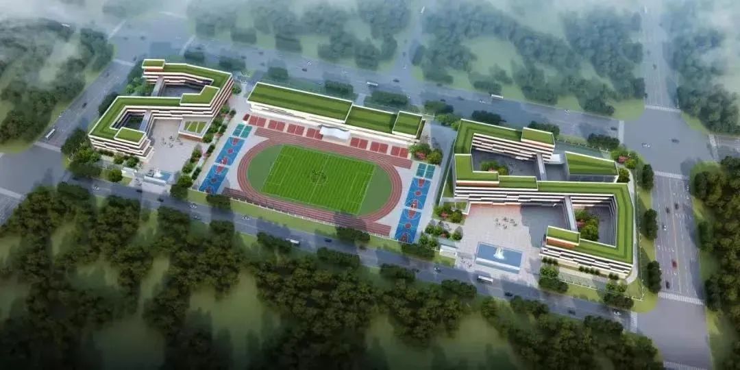 最新武汉好消息,武汉好消息今日头条