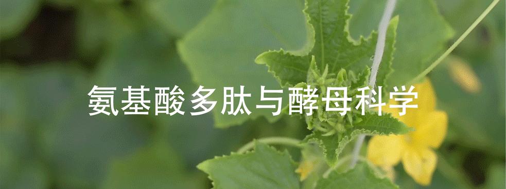 味精是好东西吗,味精有什么营养