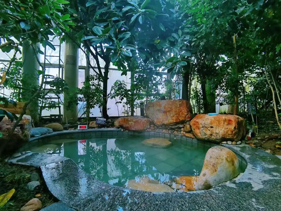 随“泉”而行随心所“浴”