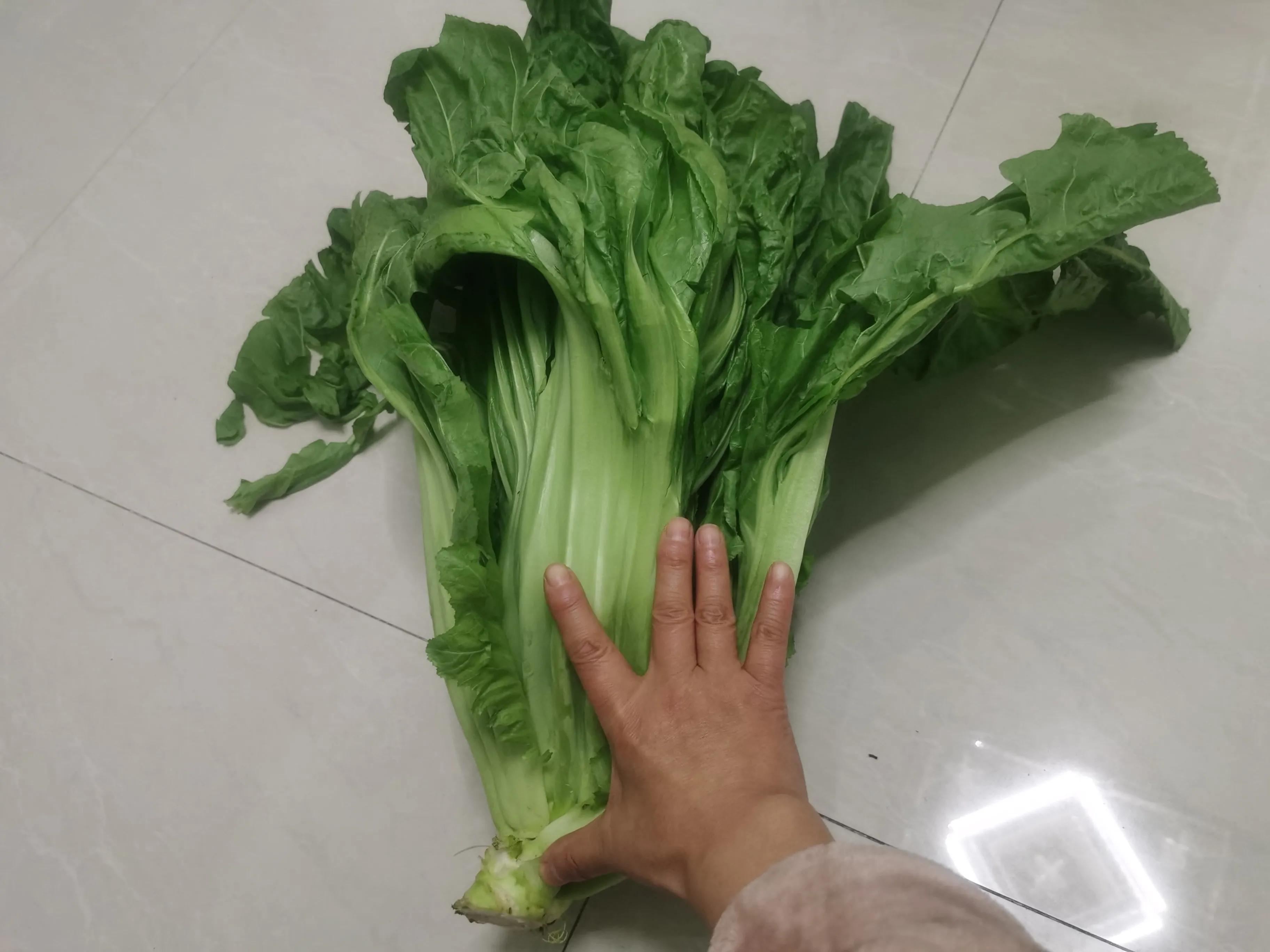 绵阳市哪个地方好玩,绵阳是个好地方作文