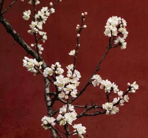 写春回大地的诗,指春回大地的诗句