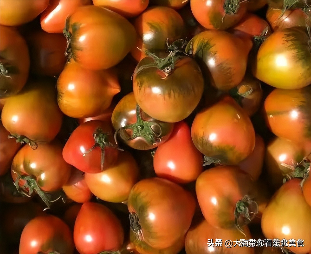 大连有什么好吃的水果,旅顺十大好吃的