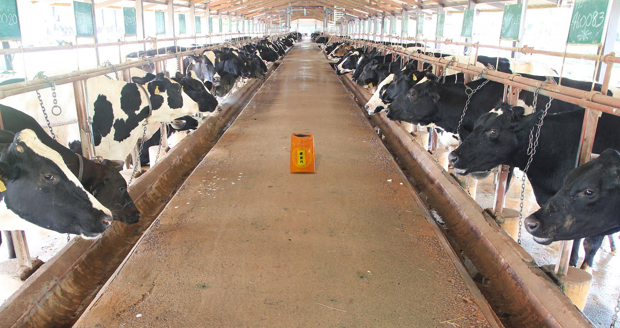 选择适合你养殖场的产品很重要,养殖场拜访后怎样推荐产品