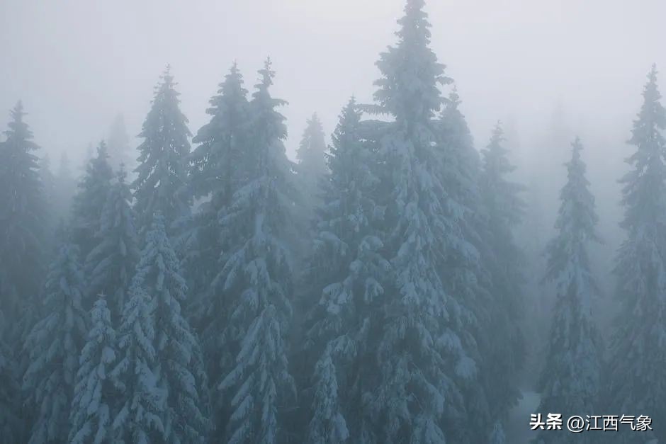 大风降温降雨江西重启阴雨模式,江西部分地区降雨伴有强雷电