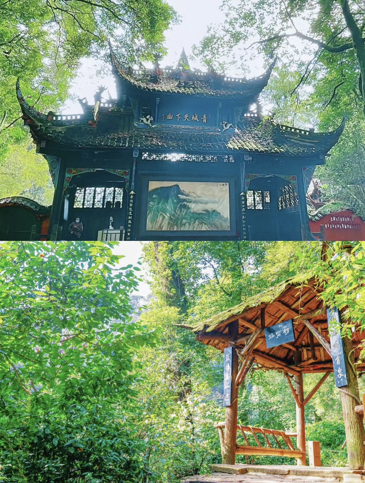 成都火爆的都江堰青城山怎么玩？超全干货攻略来了