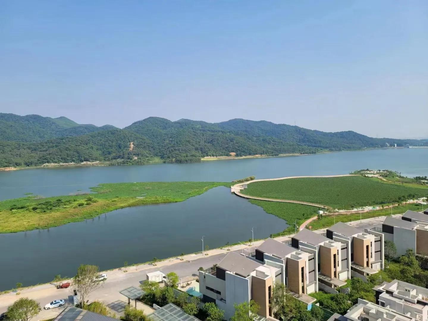 东莞房价事件,广州大旺高新区房价为啥便宜