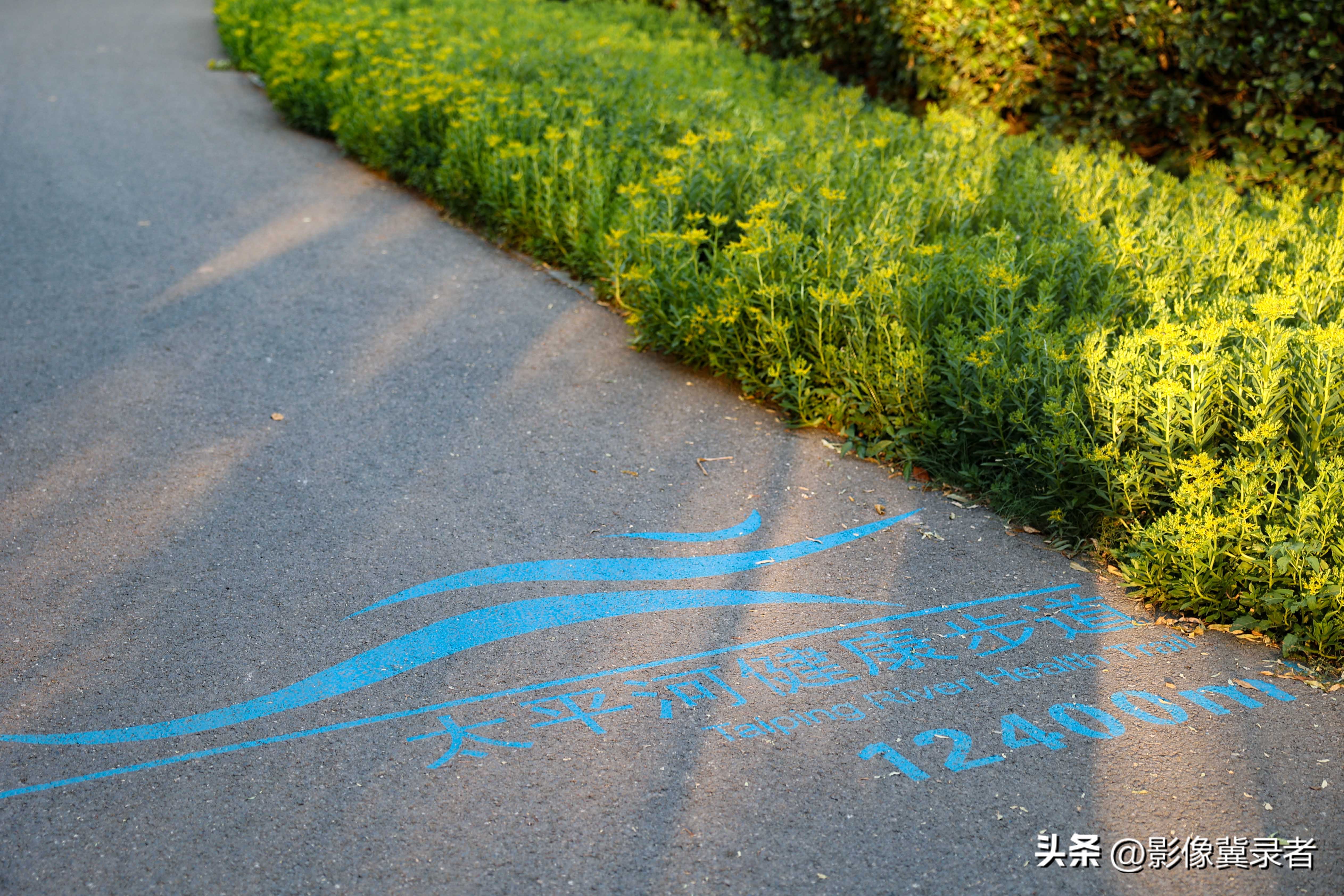 石家庄桥西区适合野餐的地方,石家庄野餐露营周边游