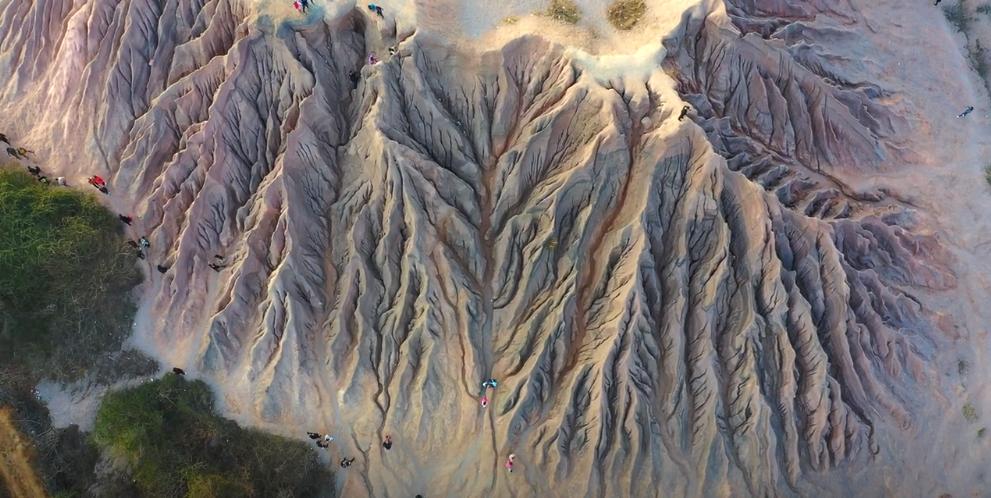 西藏的世界之树,西藏最大的大地之树