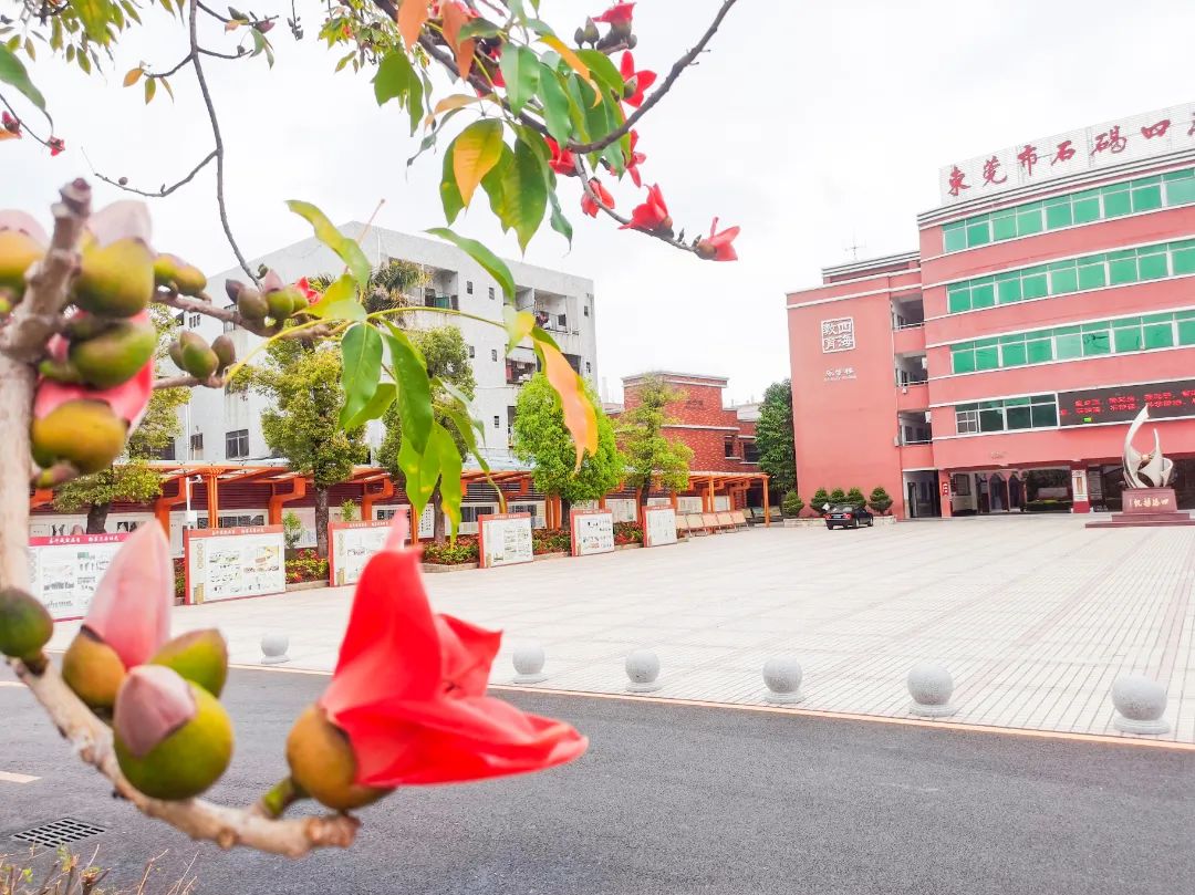 东莞四海学校招生简章,东莞2024石碣四海学校排名怎么样