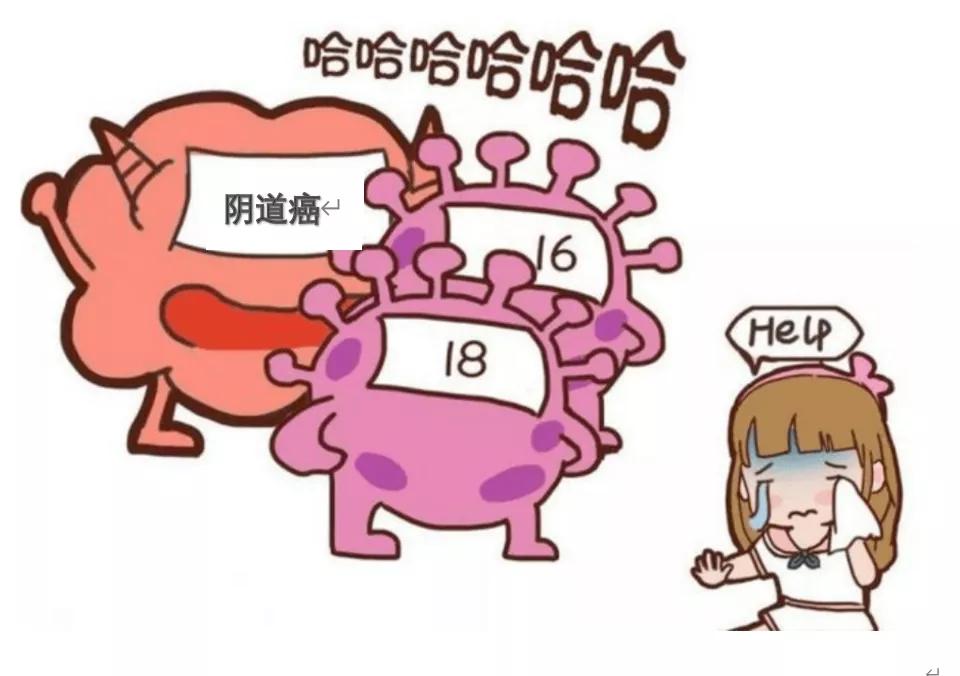 宫颈癌术后又感染hpv怎么办,宫颈癌前病变手术三年后hpv66阳性
