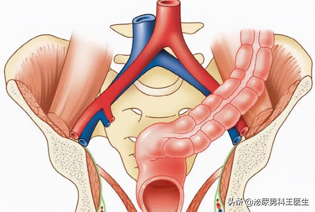 肛门潮湿发痒且有分泌物怎么处理,肛门潮湿发痒是什么病