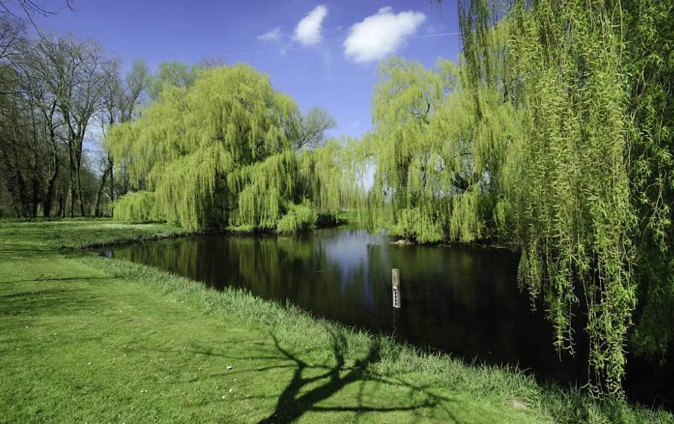 诗经夏天的诗句有哪些,古诗里面描写夏天的诗句有哪些