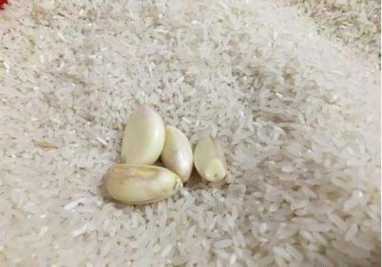大米长虫怎么办最好方法,已经长虫的大米怎么赶走米虫