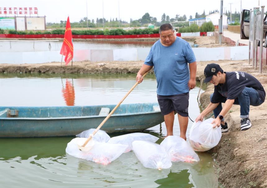 高淳古柏朱晓斌:创业能人带领社员走出一条致富路