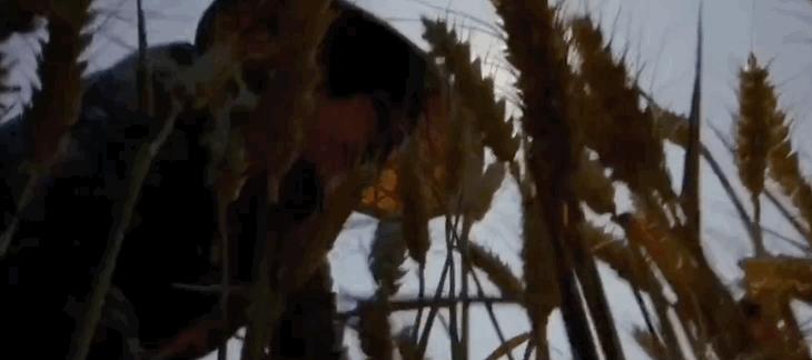 “我红了，她走了”