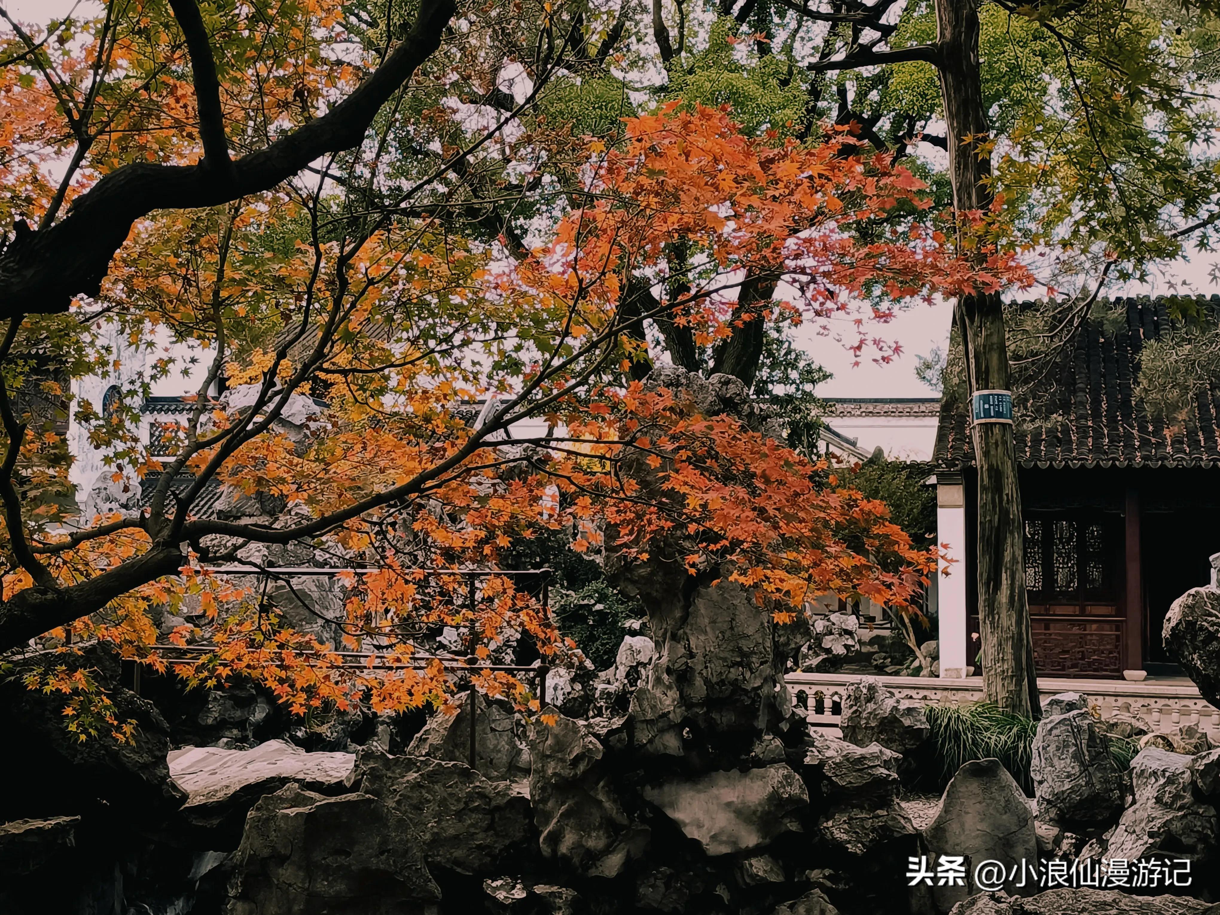 苏州天平山赏枫品茶的句子,苏州赏枫除了天平山还有哪