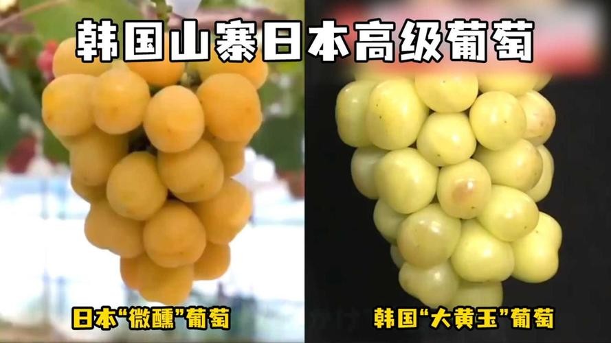 韩流是不是又要来了,韩流又要来了吗