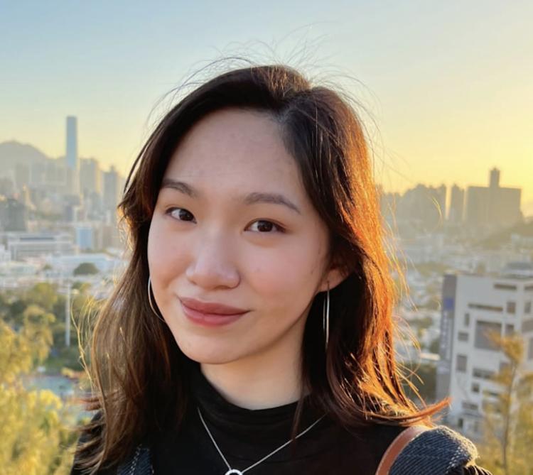 智水仁山行书书法,智水仁山书法