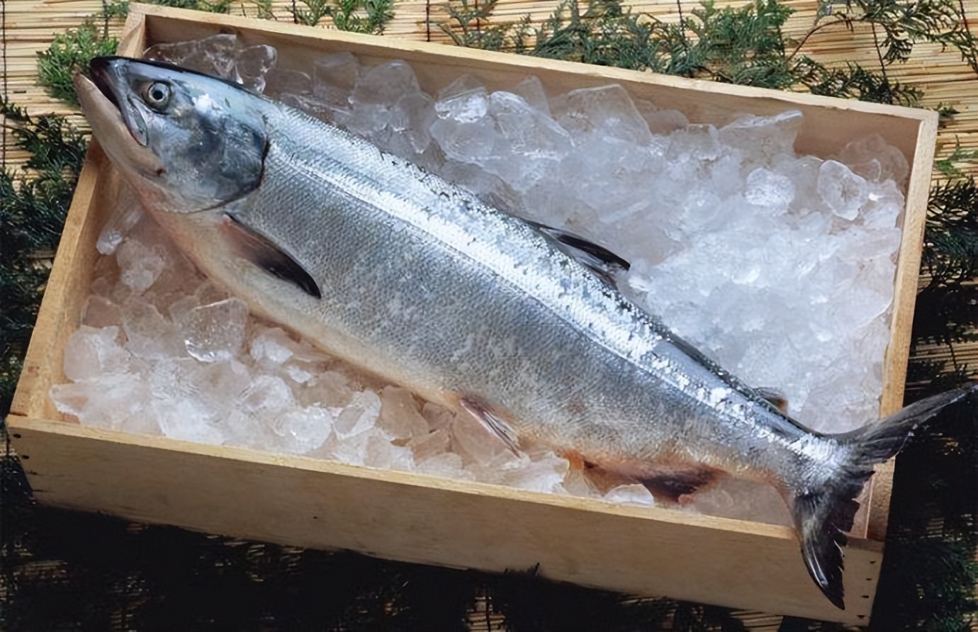 智利的南北差异,智利为什么是拉美唯一的发达国家