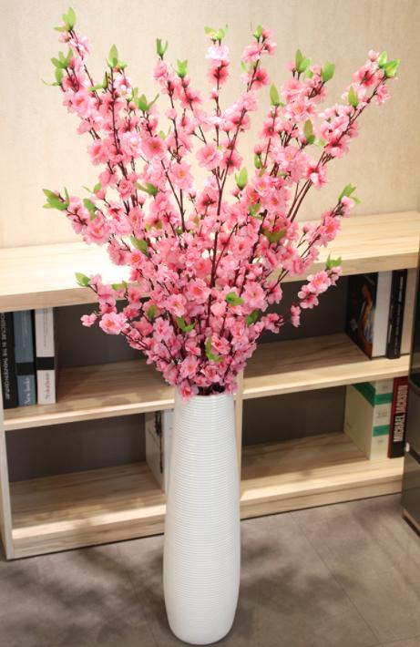 家里适合养什么好养的旺财花,适合养家里的吉祥花