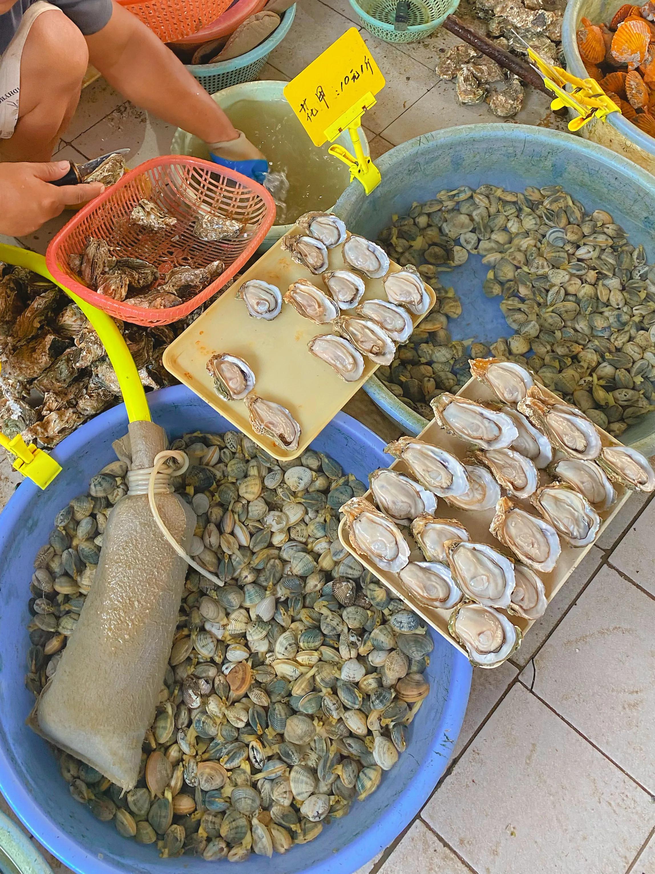 近日涠洲岛海鲜攻略,涠洲岛海鲜怎么吃比较划算