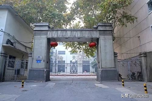 宇通集团的愿景,宇通客车发展