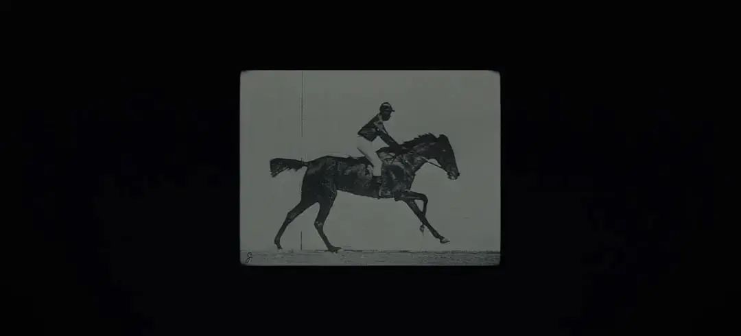 不要抬头看月亮知乎,不要抬头看月亮免费全文