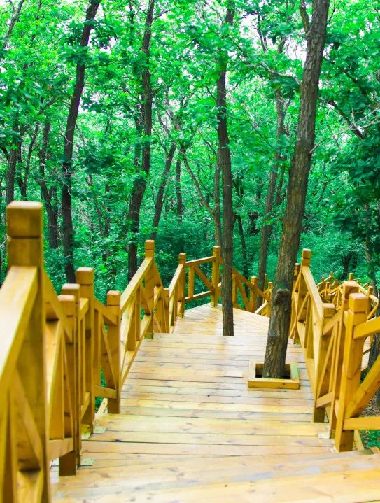 夏幽·嗨玩|全部免费！莲花山徒步宝藏地推荐！