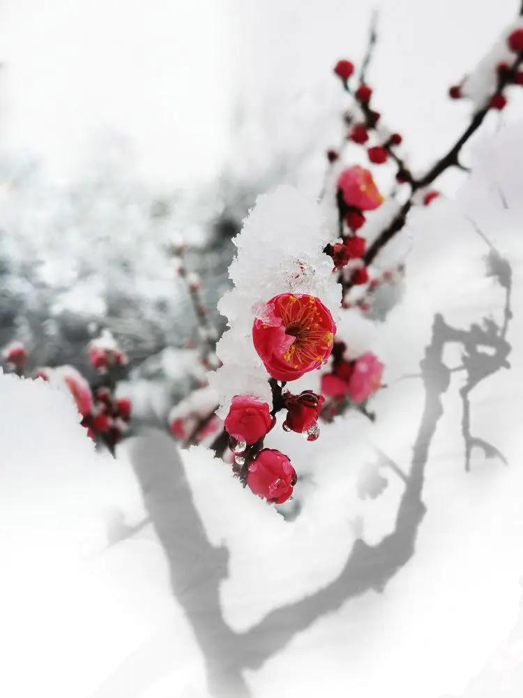 画意风光,画意风光摄影