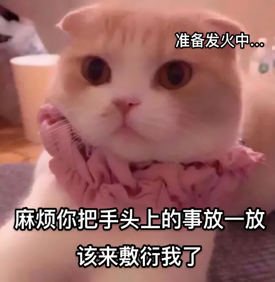 教你远离危及女性生命的四大癌症,女性健康的头号杀手你了解多少