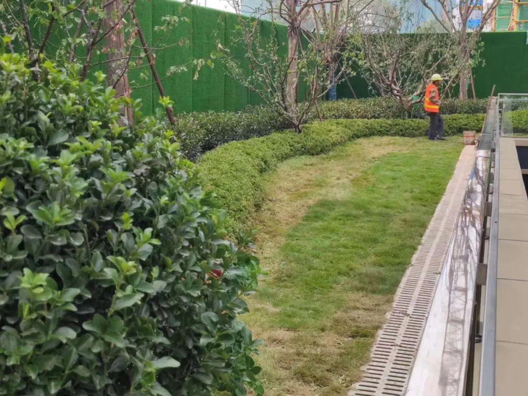 雪山万科城a11地块的优缺点,雪山万科城a10地块97平