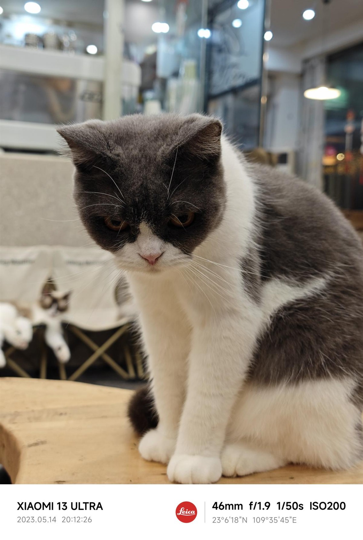 感受一下小米13ultra的魅力吧,深度体验小米13三个月