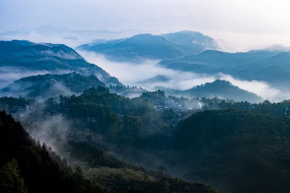 浼樼鏂囪壓浣滃搧灞曠ず,浼樼鏂囪壓浣滃搧闆嗕腑灞曠ず